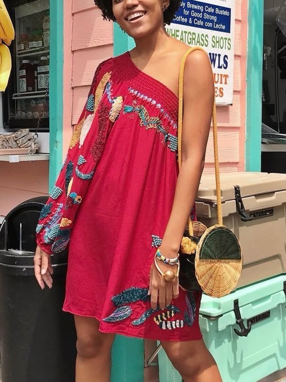 Farm Rio Silk Embroidered Mini dress